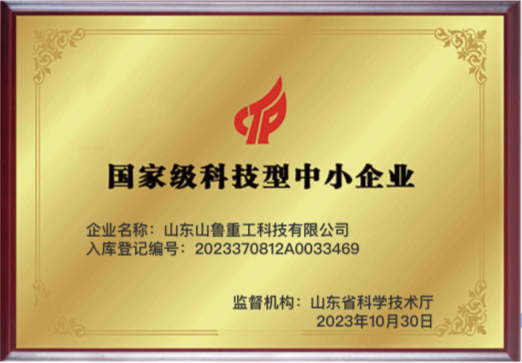 国家级科技型中小企业